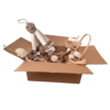 Vogel Speelgoed Box