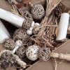 Vogel Speelgoed Box