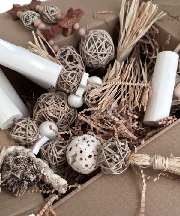Vogel Speelgoed Box